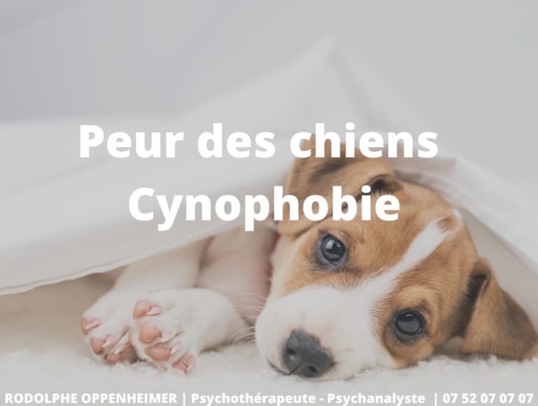 Peur des chiens - Cynophobie