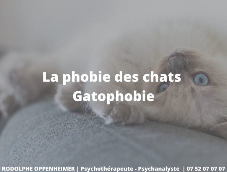 Read more about the article La phobie des chats – Gatophobie
