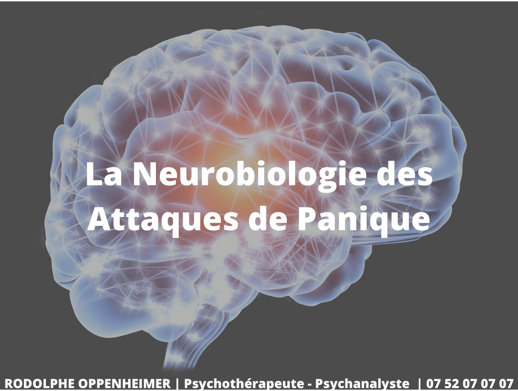 Read more about the article La neurobiologie des attaques de panique