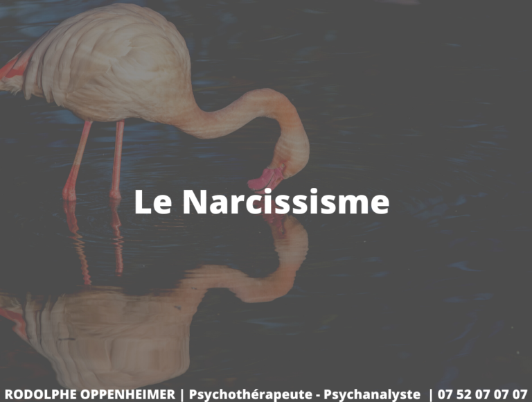 Le Narcissisme