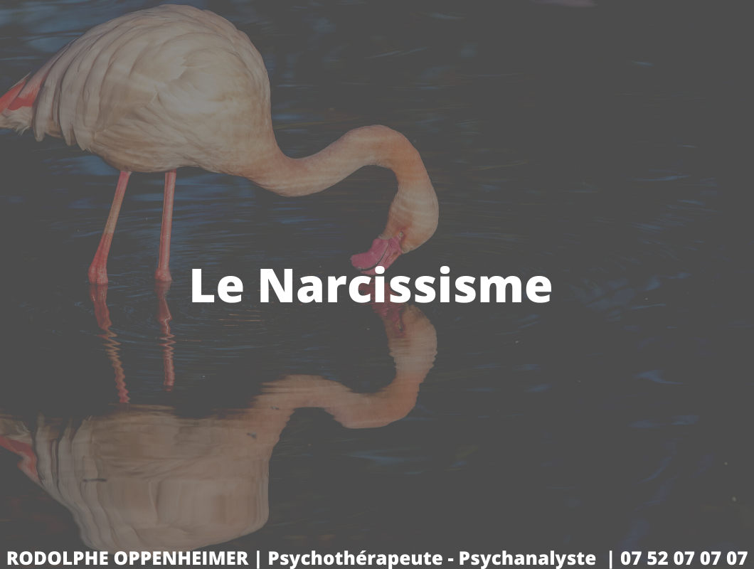 You are currently viewing Le narcissisme – Tout savoir
