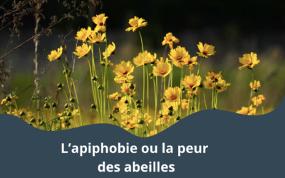 L’apiphobie ou la peur des abeilles