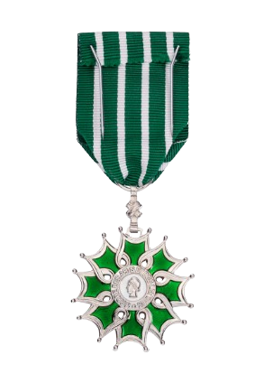 lettres-removebg-preview Chevalier de l'Ordre des Arts et des Lettres